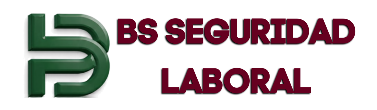BS Seguridad Laboral